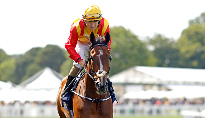 有馬記念歴史の歩みとその影響力（競馬界における有馬記念の重要性と伝統）