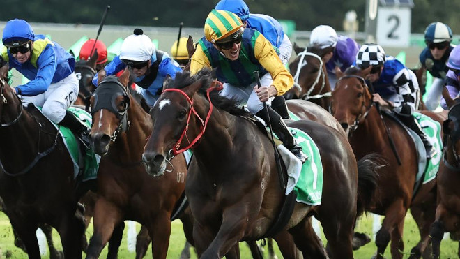 有馬記念ファン投票歴代の結果発表！