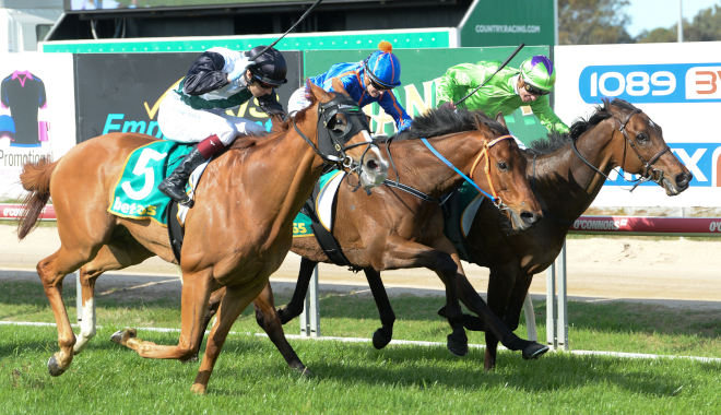 有馬記念とは何か？（競馬ファン必見！日本の競馬界を代表する年末の大レースの魅力を探る）