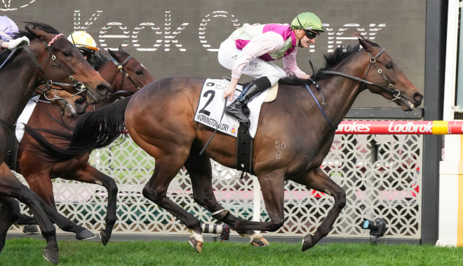 秋 の 競馬秋の風に乗る名馬たちが繰り広げる熱戦の行方とは？