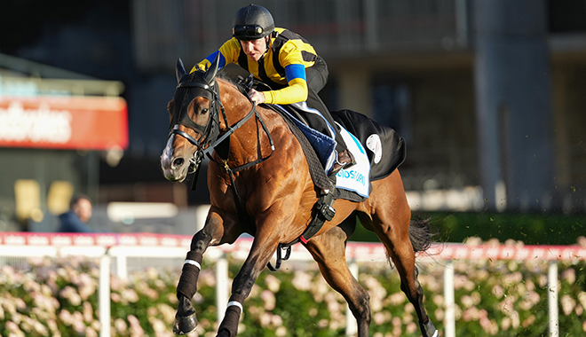 吉田 競馬の未来を切り開く新たな挑戦（地域活性化と競馬の融合がもたらす新たな展望）