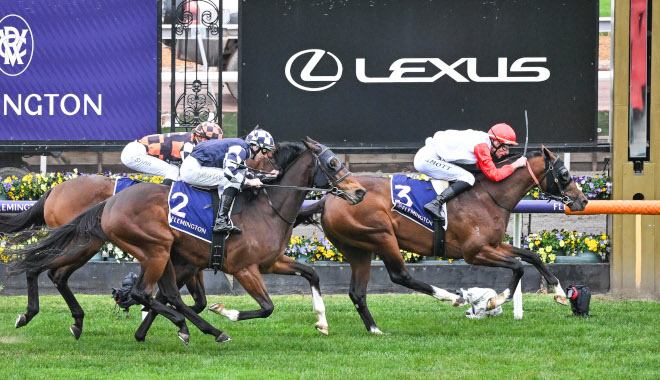 有馬記念歴史の歩みとその影響力（競馬界における有馬記念の重要性と伝統）