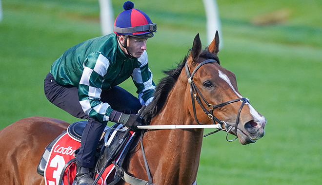 秋 の 競馬秋の風に乗る名馬たちが繰り広げる熱戦の行方とは？